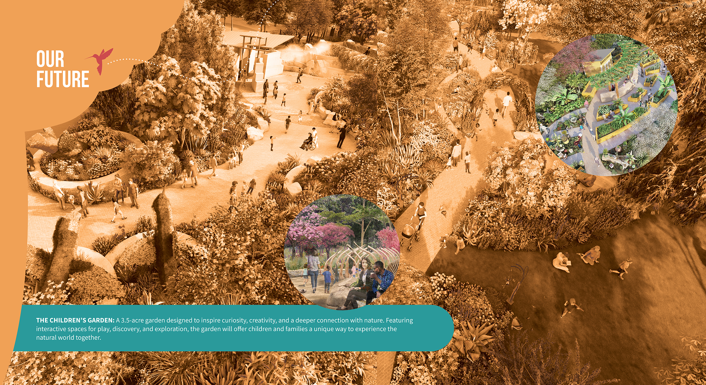 Our Future: A forward-looking graphic introducing new spaces and the Garden’s vision for the years ahead.