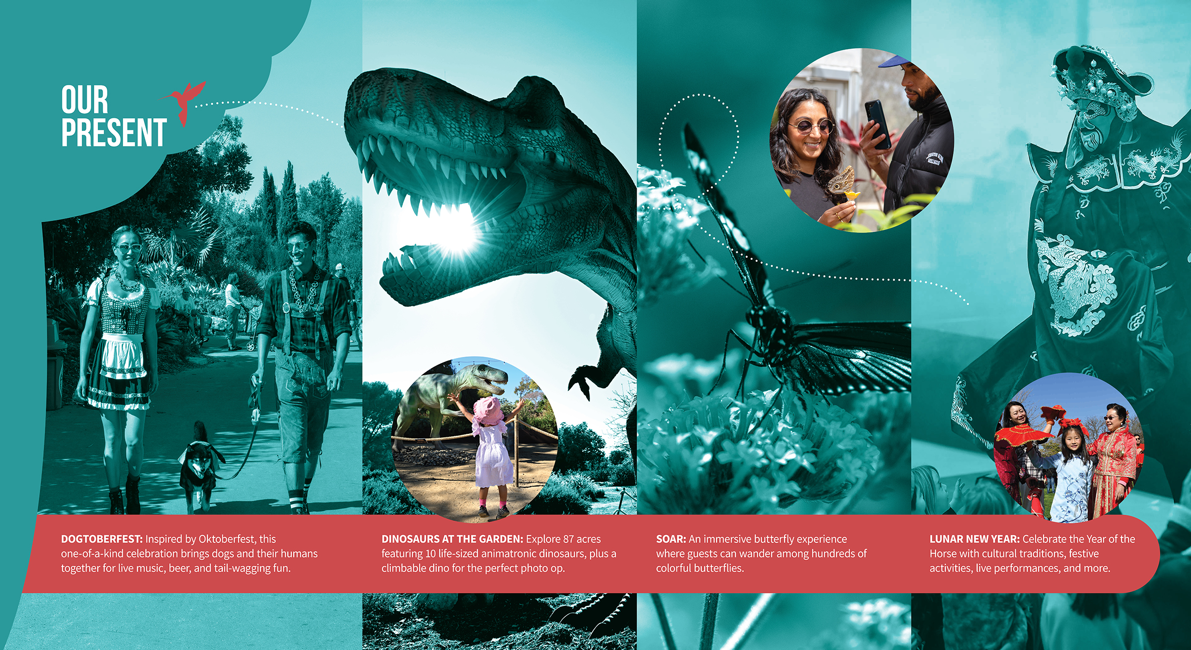 Our Present: A vibrant visual story highlighting the Garden’s exhibits, events, and visitor experiences.